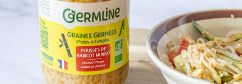 Préparations pour wok