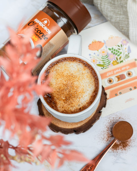 Chicorée instantanée Cacao bio