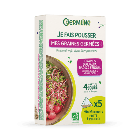 Mini germoirs alfalfa radis fenouil bio