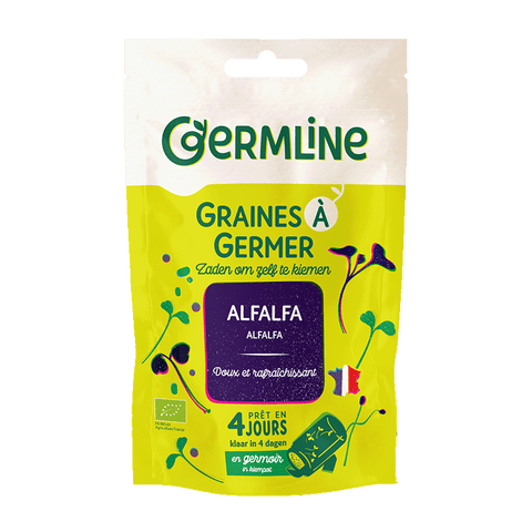 Graines à germer alfalfa bio (origine France) 