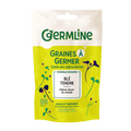Graines à germer blé bio (origine France) 