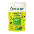 Graines à germer brocoli rave bio (origine Italie) 