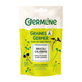Graines à germer brocoli calabrais bio (origine Italie) 