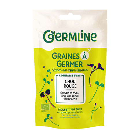 Graines à germer chou rouge bio (origine Italie) 