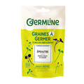 Graines à germer épeautre du nord bio (origine France) 