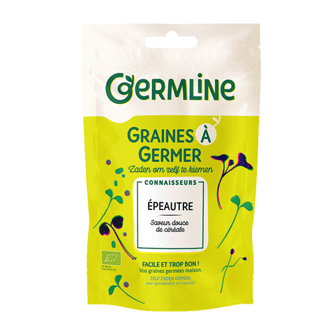 Graines à germer épeautre du nord bio (origine France) 