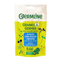 Graines à germer alfalfa - cresson - chou rouge bio (origine France) 