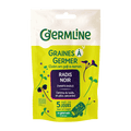 Graines à germer radis noir bio (origine Italie) 