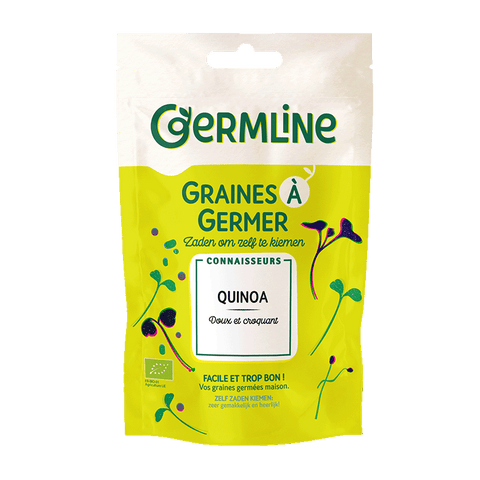 Graines à germer quinoa bio (origine France) 