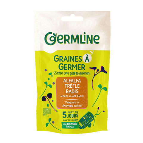 Graines à germer Alfalfa – Trèfle – Radis bio