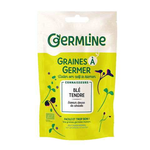 Graines à germer Blé bio