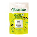 Graines à germer Chou Rouge bio