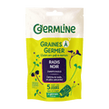 Graines à germer radis noir bio