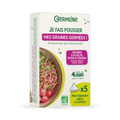 Mini germoirs alfalfa radis fenouil bio